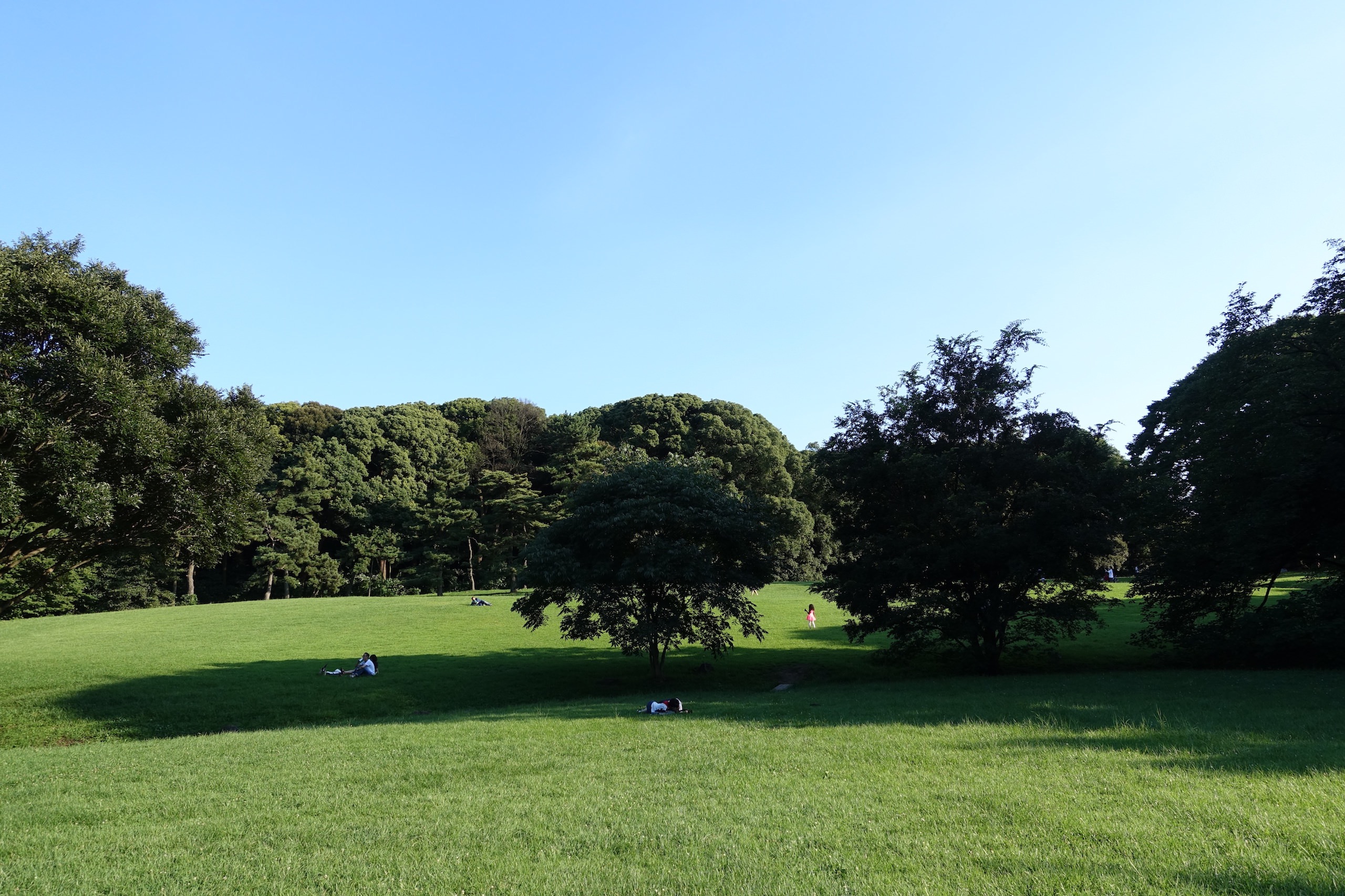 Fig. 4: English-garden-style lawn in front of the Hōmotsuden