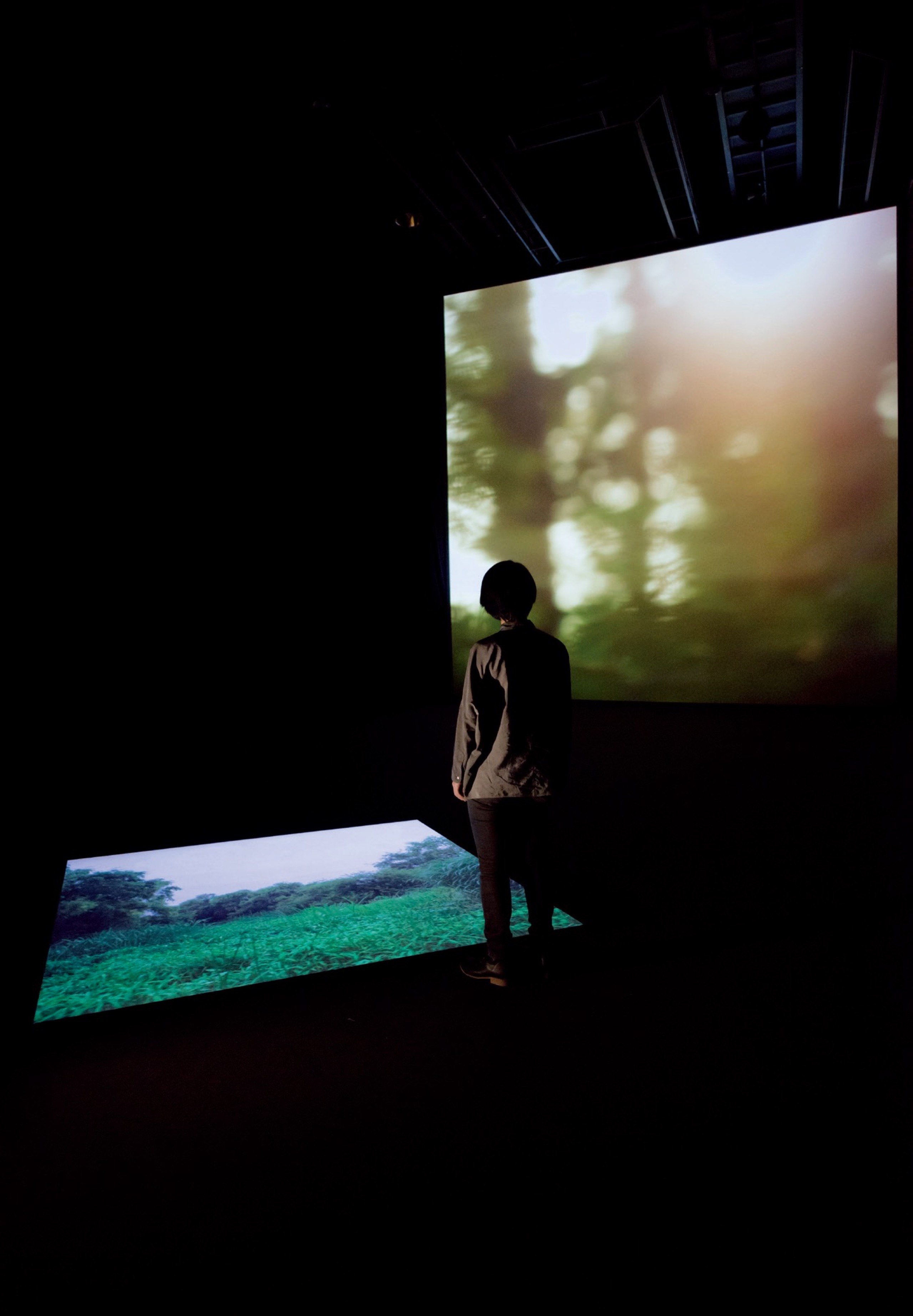 Promise Park, Two channel video with sound, installation view, vertical screen, 7200×7200mm, horizontal screen 2100×2100mm, 2013